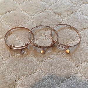 NWOT America the Beautiful